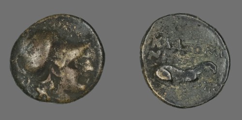 Coin Depicting the Goddess Athena, 387-301 BCE.