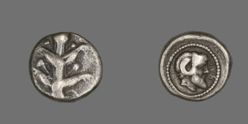 Coin Depicting Silphium Plant, 480-435 BCE.