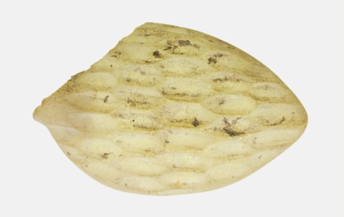 Fragment of a Spoon, late 1st-2nd century.