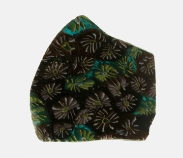 Fragment of a Plate, 1st century BCE-1st century CE.