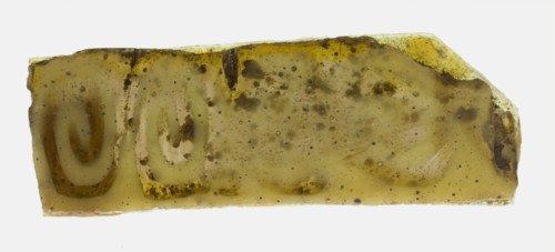 Fragment of a Plate, 1st century BCE-1st century CE.