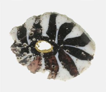 Fragment of an Inlay Depicting a Rosette, 1st century BCE-1st century CE.