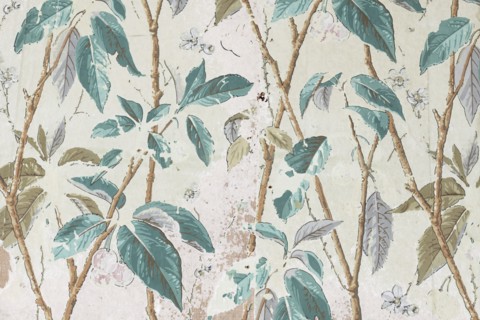 Wallpaper in the garden house, Mount Edgcumbe Country Park, Cornwall, 2019. Creator: Steven Baker.
