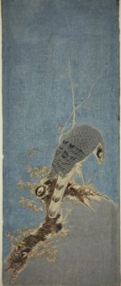Falcon Perched on a Tree, c. 1785. Creator: Isoda Koryusai.