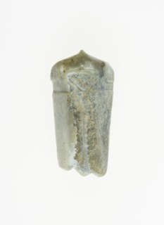 Cicada pendant, Shang or Western Zhou period, 13th/10th century B.C. Creator: Unknown.