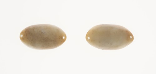 Eye Cover, Style of Eastern Zhou period or Han dynasty. Creator: Unknown.