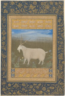 Portrait of a Ladakhi Mountain Goat, about 1600. Creator: Unknown.