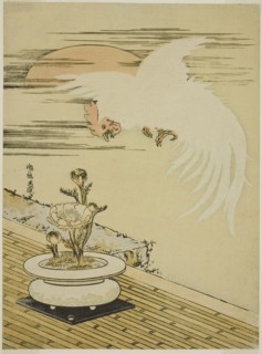 Cock Flying Over Pot of Adonis, c. 1770s. Creator: Isoda Koryusai.
