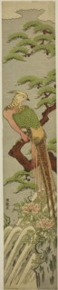 Golden Pheasant on a Pine Tree above Peonies and Waterfall, c. 1780. Creator: Isoda Koryusai.