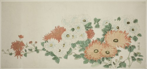 Chrysanthemums, c. 1780. Creator: Isoda Koryusai.