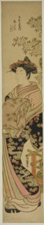 The Courtesan Shirotae of the Okanaya, c. 1776/81. Creator: Isoda Koryusai.