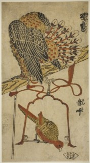 Sparrowhawk and Macaw (Konori taka, inko), c. 1718. Attributed to Torii Kiyomasu I.