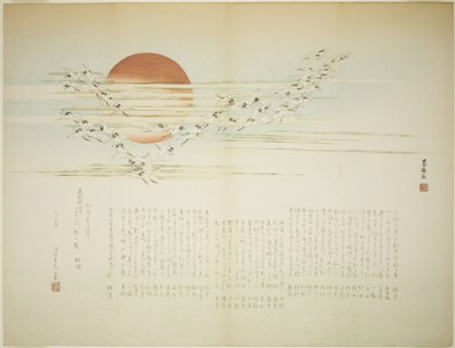 Multitudes of Cranes, spring 1863.