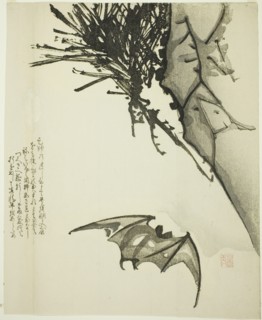 A Bat Flying near a Pine Tree, 19th century.