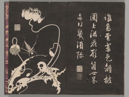 Soken sekisatsu, 1767. Woodblock printed book, with design of insect and poppies.