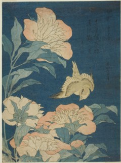 Canary and Peony (Kanaari, shakuyaku), from an untitled series of flowers and birds, Japan, c. 1834.