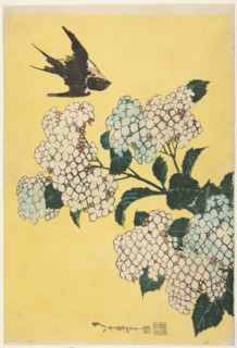 Hydrangea and Swallow, from an untitled series of large flowers, Japan, c. 1833/34.