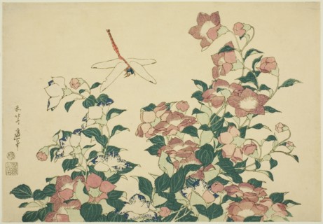 Bell-Flower and Dragonfly, from an untitled series of large flowers, Japan, c. 1833/34.