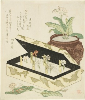 Primroses, Japan, c. 1810s.