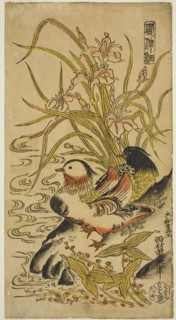 Mandarin Ducks, from the series "Kashinsai", c. 1725/27.