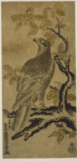 A Hawk on a Kiri Tree, c. 1720/25.