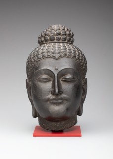 Head of Buddha, Kushan period, 2nd/3rd century. Ancient region of Gandhara (modern Pakistan).