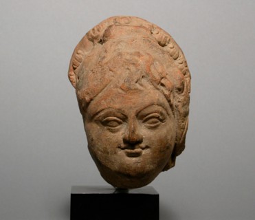 Female Head, 4th/6th century. Ancient region of Gandhara (modern India or Pakistan).
