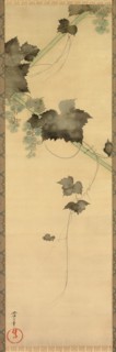 Grapevines, 19th century.