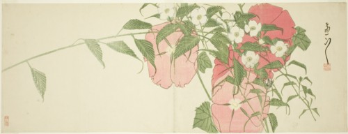 Flowers, early 19th century.