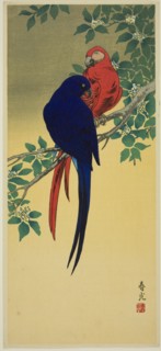 Blue and Red Macaws, n.d.