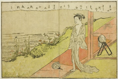 Double-page Illustration from Vol. 1 of "Picture Book of Spring Brocades (Ehon haru no nishiki)", 1771.