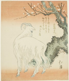 Goat beneath a plum tree, n.d.