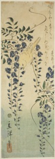 Canary and wisteria, 1865.