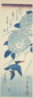 Kingfisher and hydrangea, 1857.