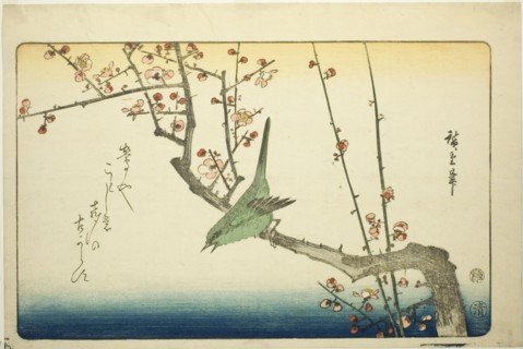 Bush warbler on plum branch, 1840s.