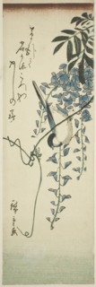 Bird and wisteria, n.d.