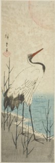 Crane and sun, c. 1843/47.