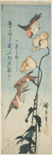 Sparrows and poppies, 1850s.