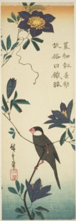 Java sparrow and clematis, 1830s.