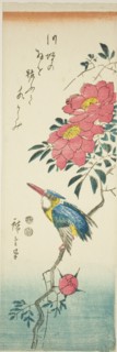 Kingfisher and roses, c. 1847/52.
