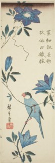 Java sparrow and clematis, 1830s.