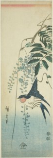Swallow and wisteria, c. 1847/52.