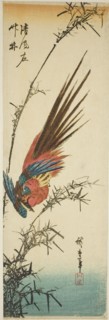 Copper pheasant and bamboo, 1840s.
