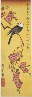 White-headed bird on peach branch, c. 1840.