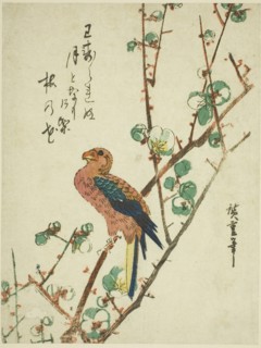 Parrot on plum tree, 1830s.