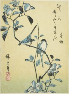 Birds on camellia branch, 1830s.