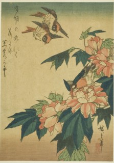 Swallows, kingfisher, and hibiscus, c. 1830s.