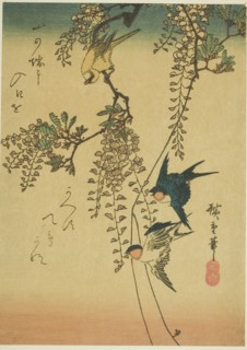 Swallow, yellow bird, and wisteria, 1830s-1840s.