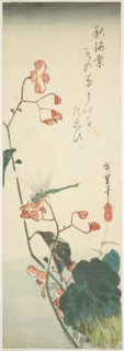 Dragonfly and begonia, 1830s.