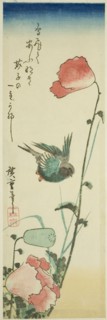 Swallow and poppies, c. 1830s.